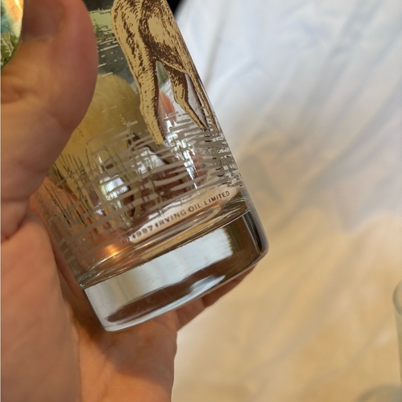 Vintage Irving Moose Design Glass Tumblers - Set of 2 - Picture 3 of 5